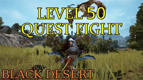 black desert 2 pg lv 50|black desert pvp.